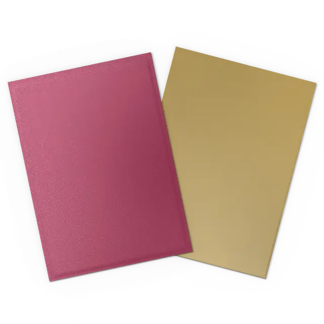 Dragon Shield Dual Matte Sleeves
