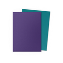 Dragon Shield Dual Matte Sleeves