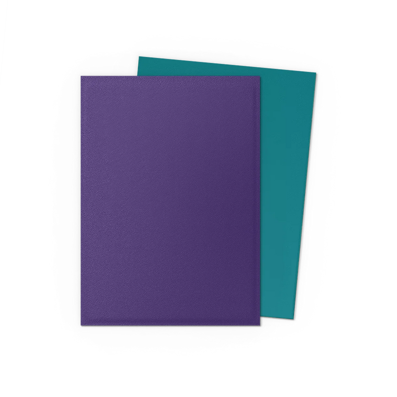 Dragon Shield Dual Matte Sleeves
