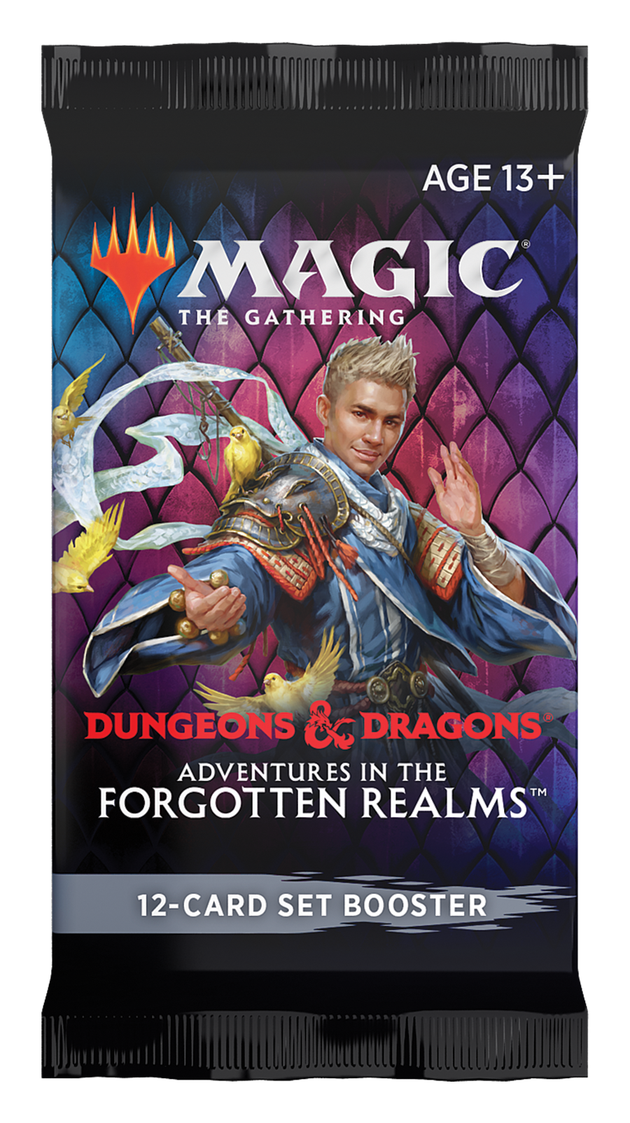 adventures in the forgotten realms theme booster box Adventures in the Forgotten Realms AFR Set Booster Pack